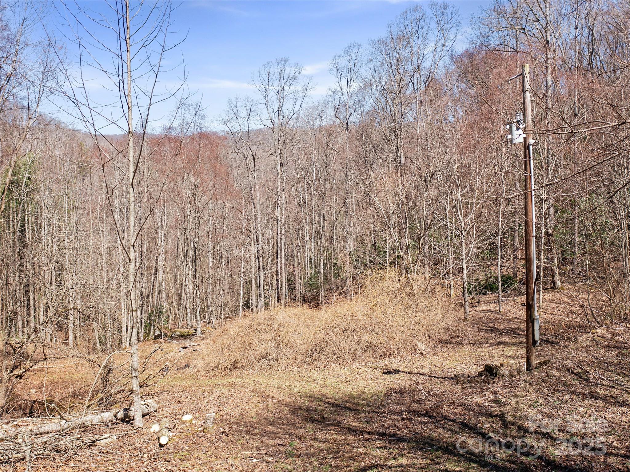 0 Nc Highway 226 Bakersville NC 28705