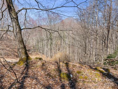0 Nc Highway 226 Bakersville NC 28705