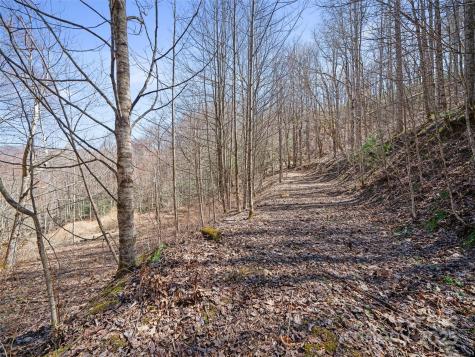0 Nc Highway 226 Bakersville NC 28705