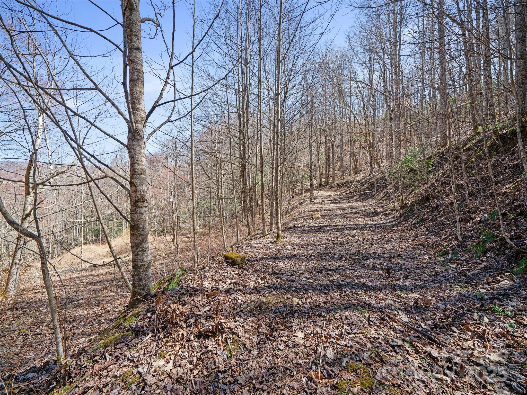 0 Nc Highway 226 Bakersville NC 28705
