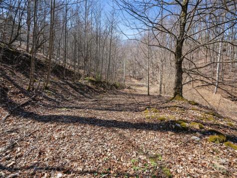 0 Nc Highway 226 Bakersville NC 28705