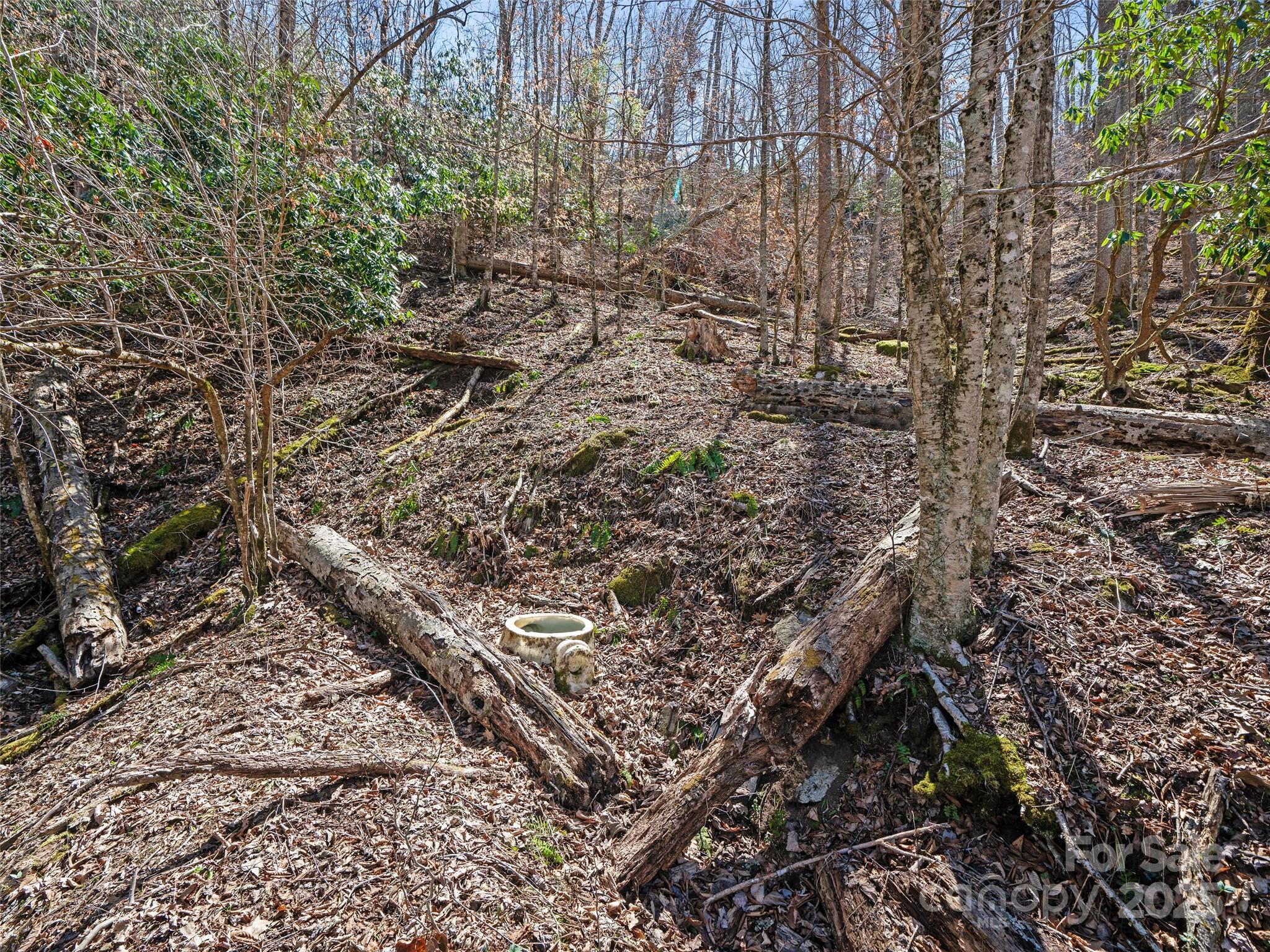 0 Nc Highway 226 Bakersville NC 28705