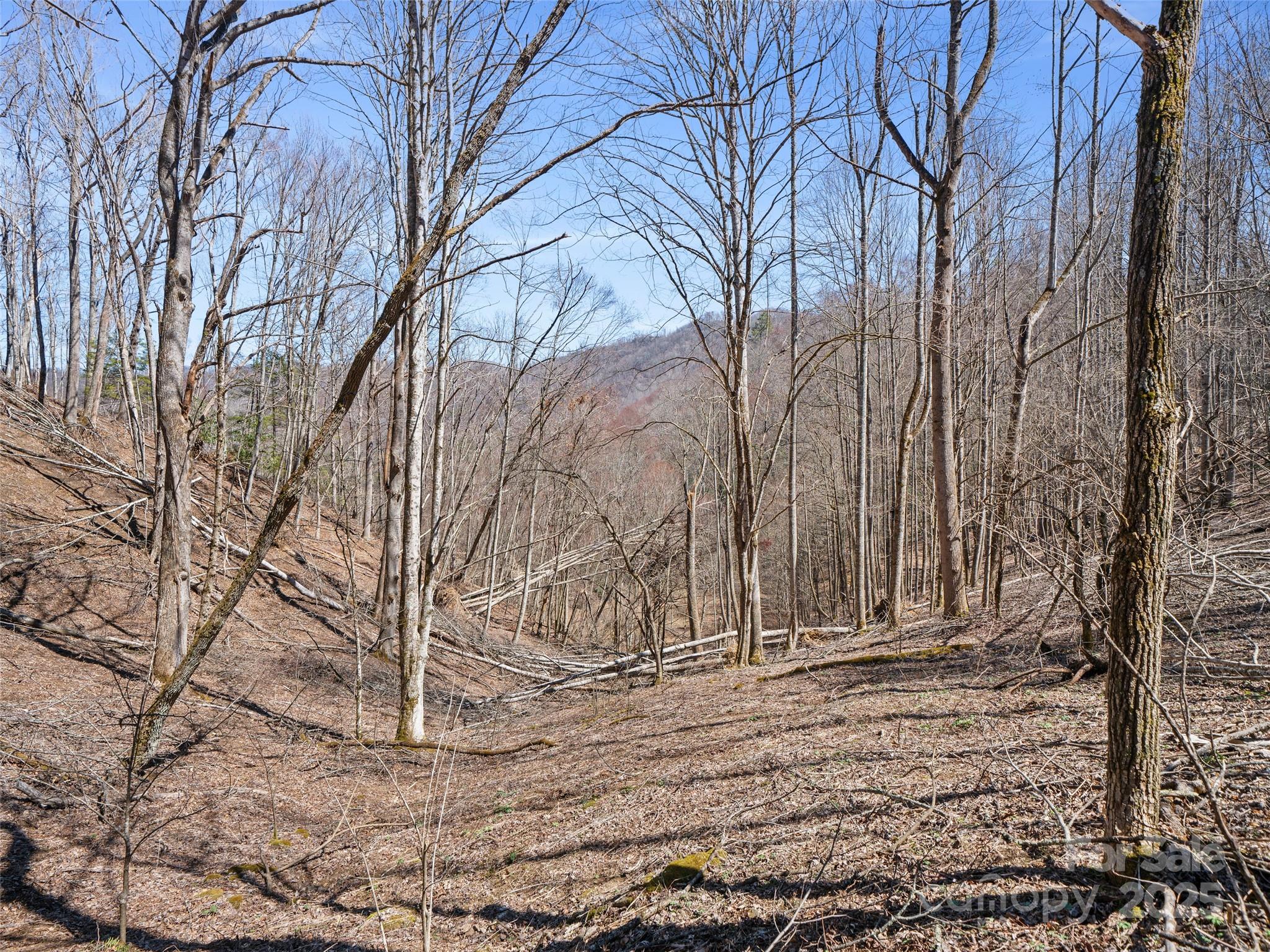 0 Nc Highway 226 Bakersville NC 28705