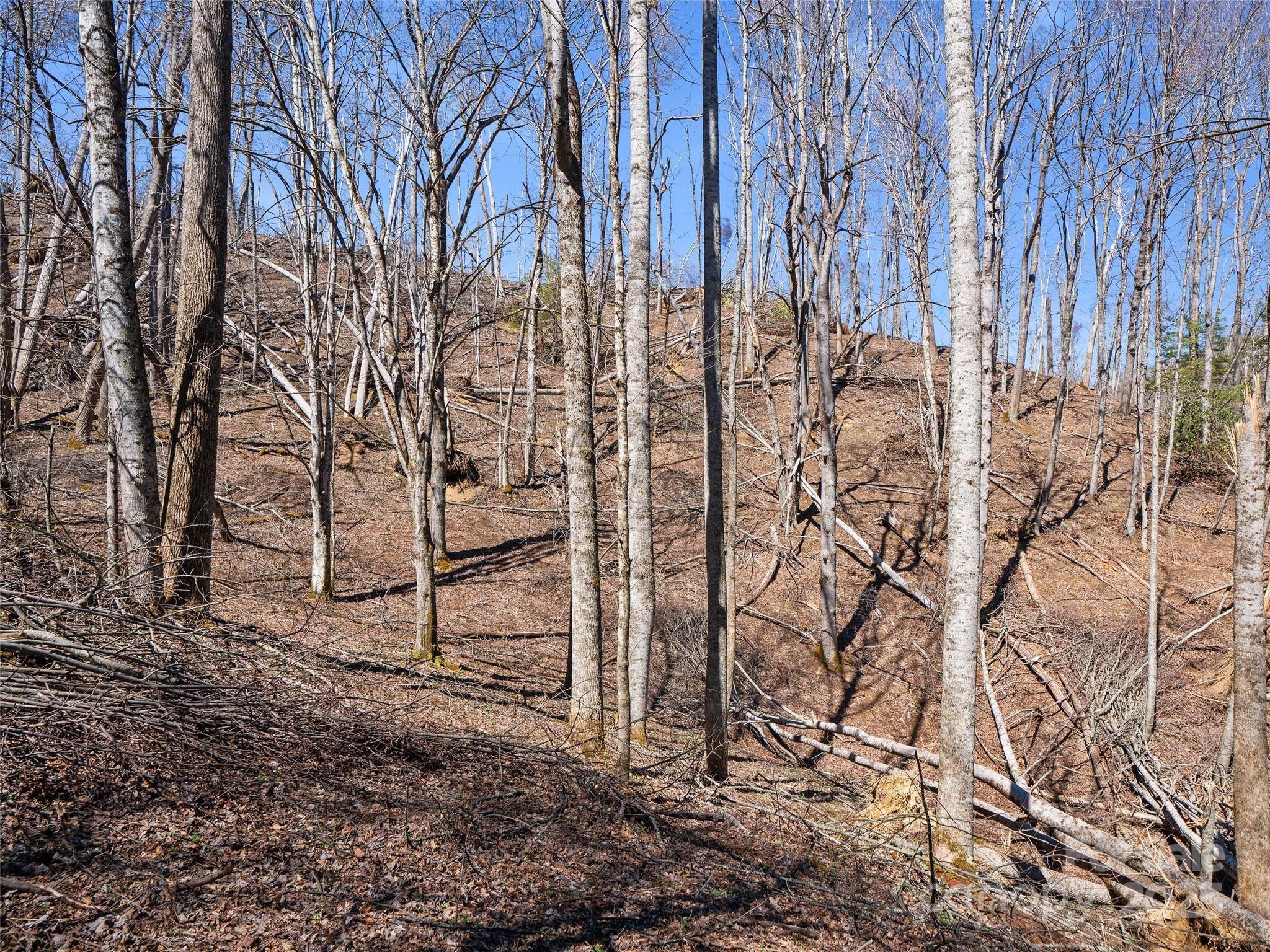 0 Nc Highway 226 Bakersville NC 28705