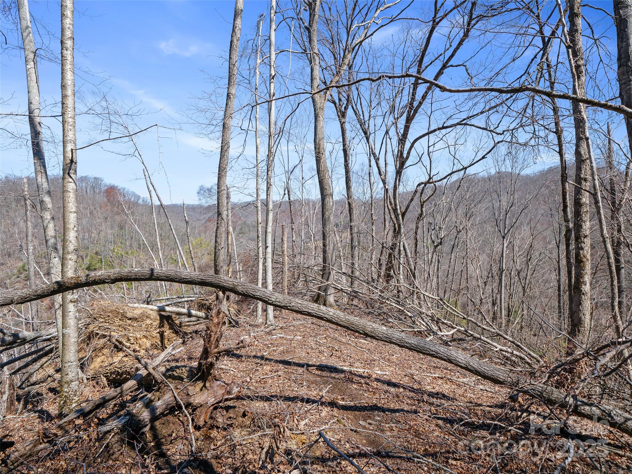 0 Nc Highway 226 Bakersville NC 28705