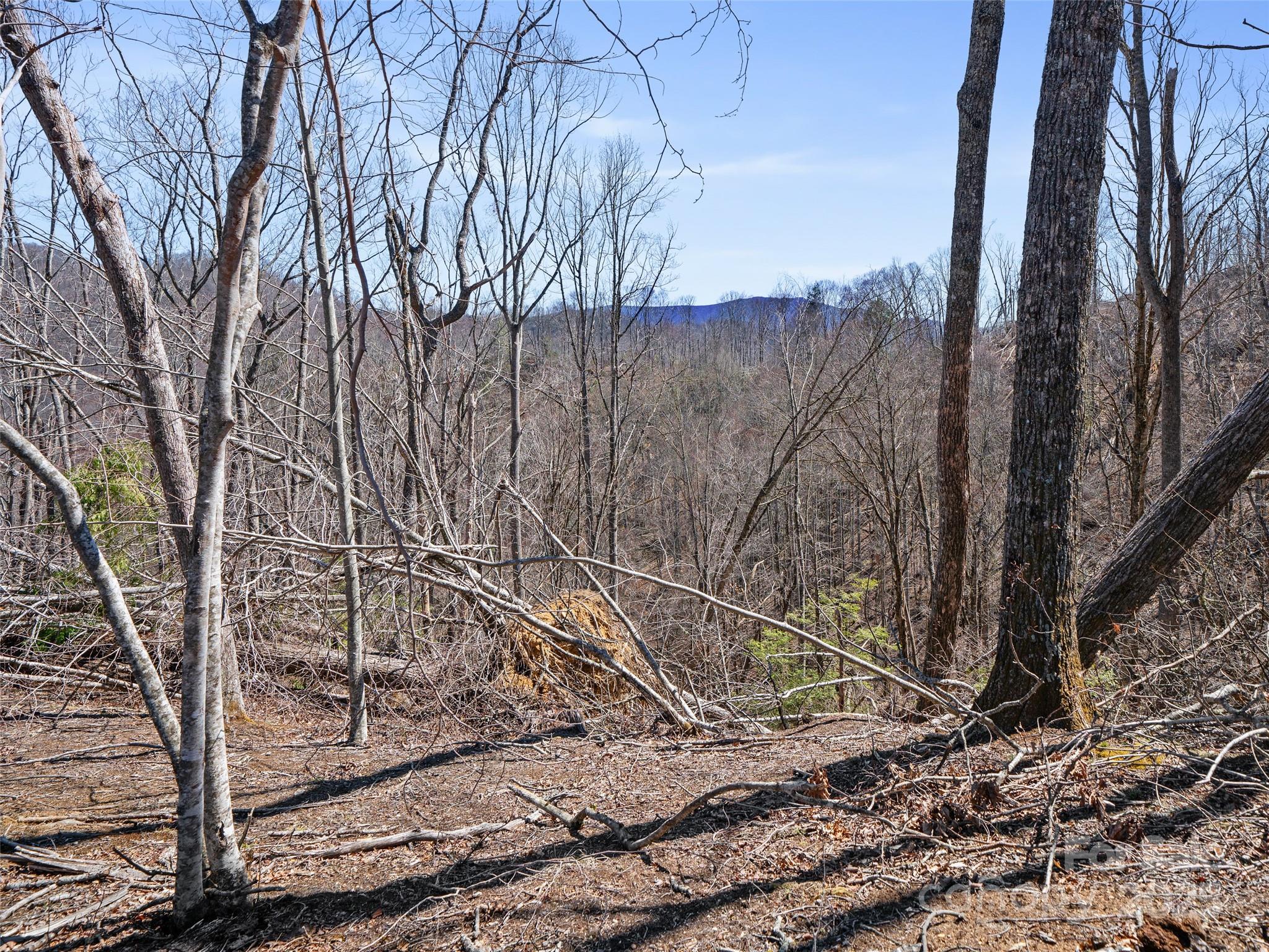0 Nc Highway 226 Bakersville NC 28705