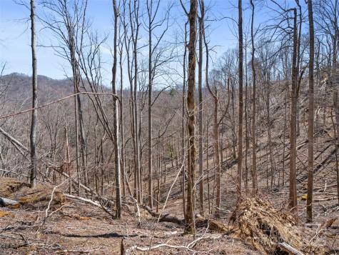 0 Nc Highway 226 Bakersville NC 28705