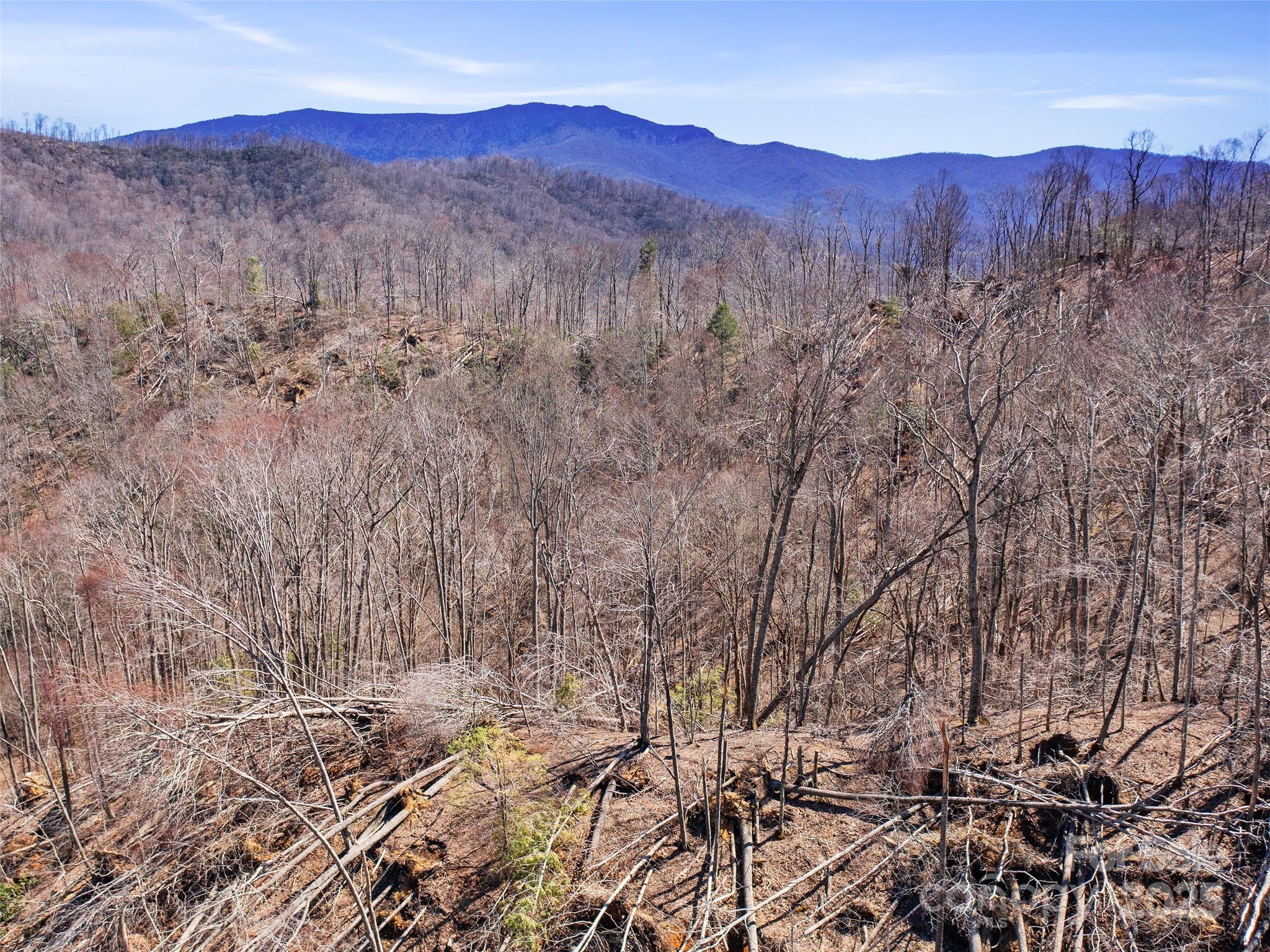 0 Nc Highway 226 Bakersville NC 28705