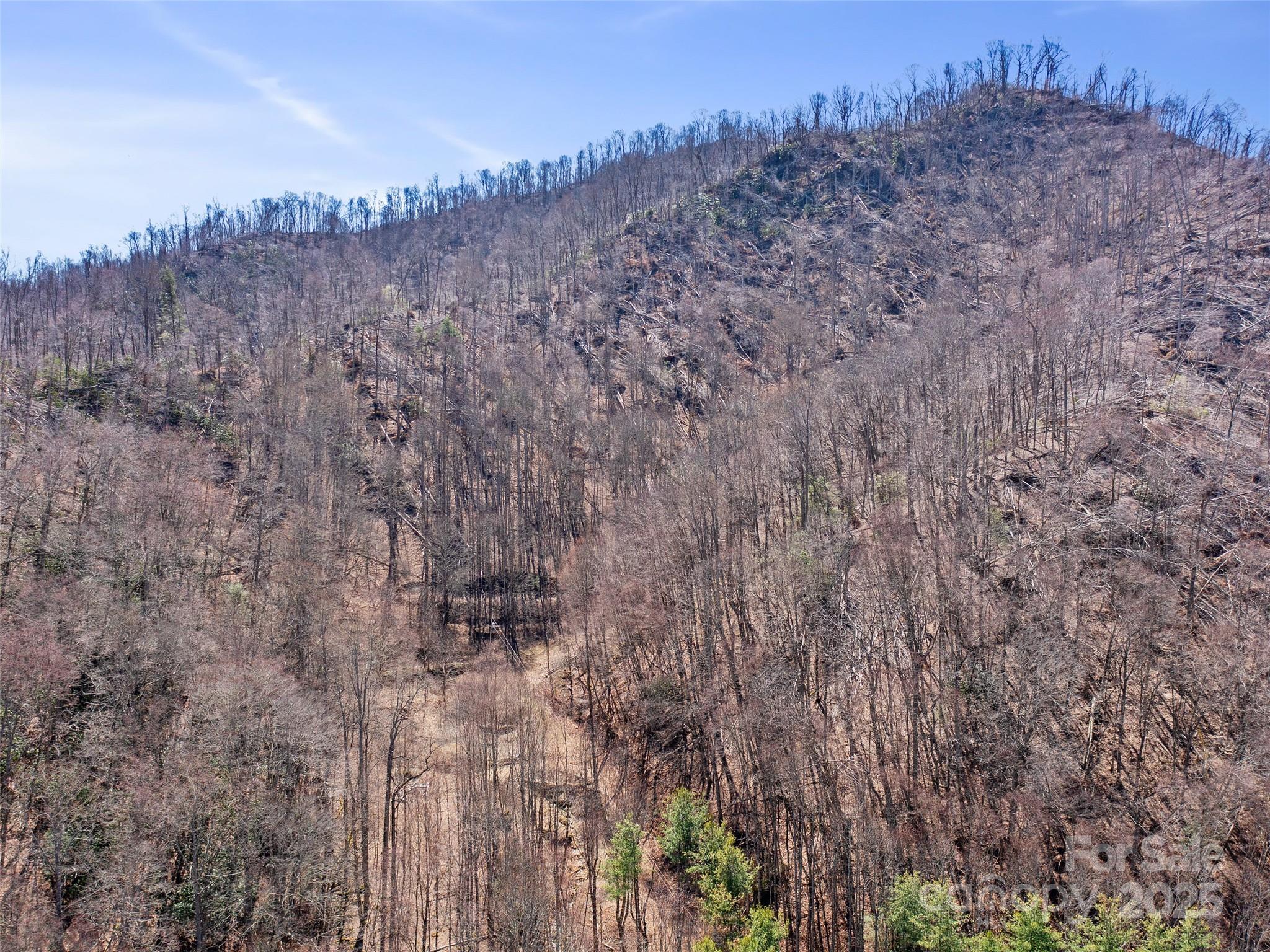 0 Nc Highway 226 Bakersville NC 28705