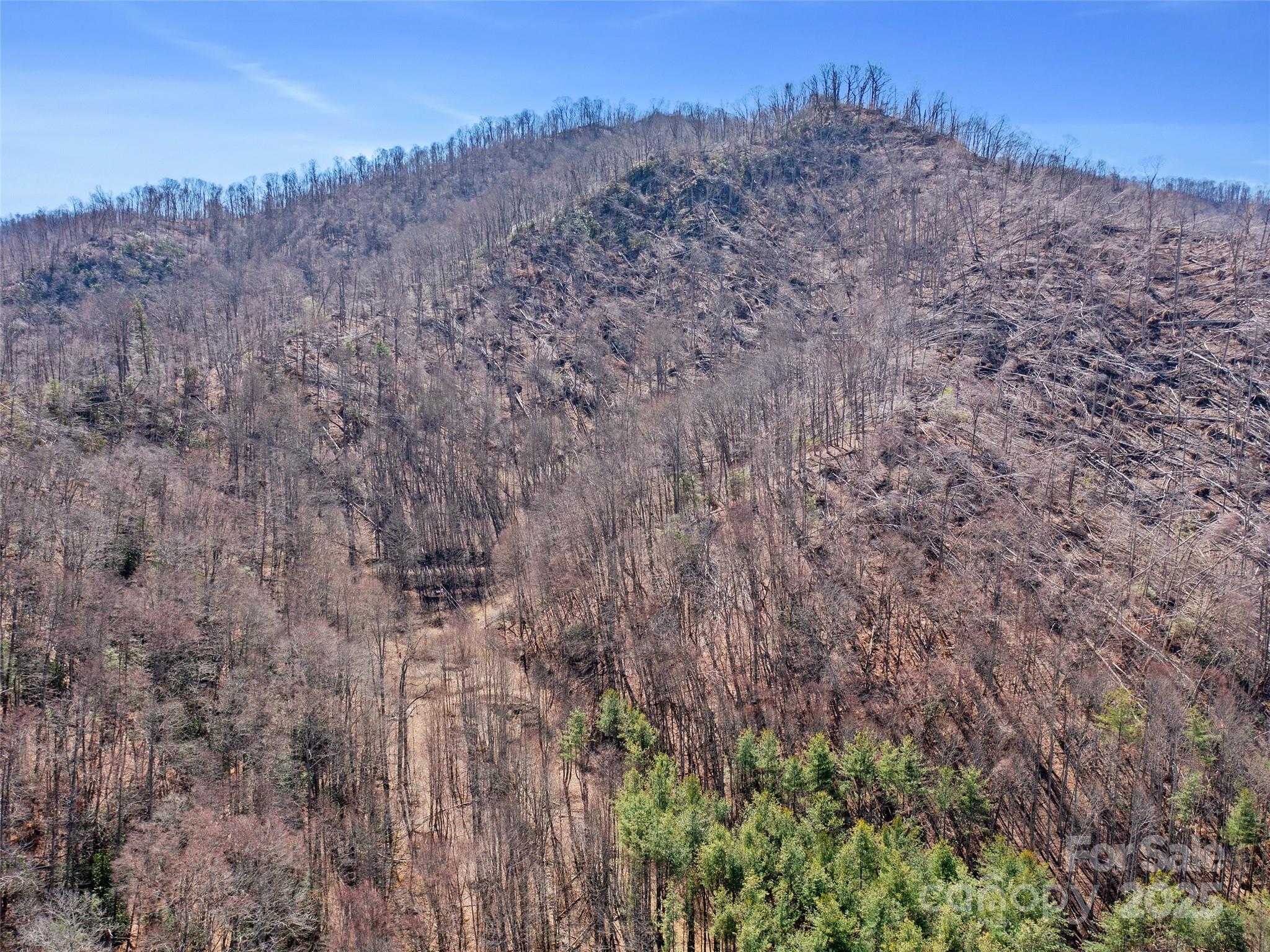 0 Nc Highway 226 Bakersville NC 28705