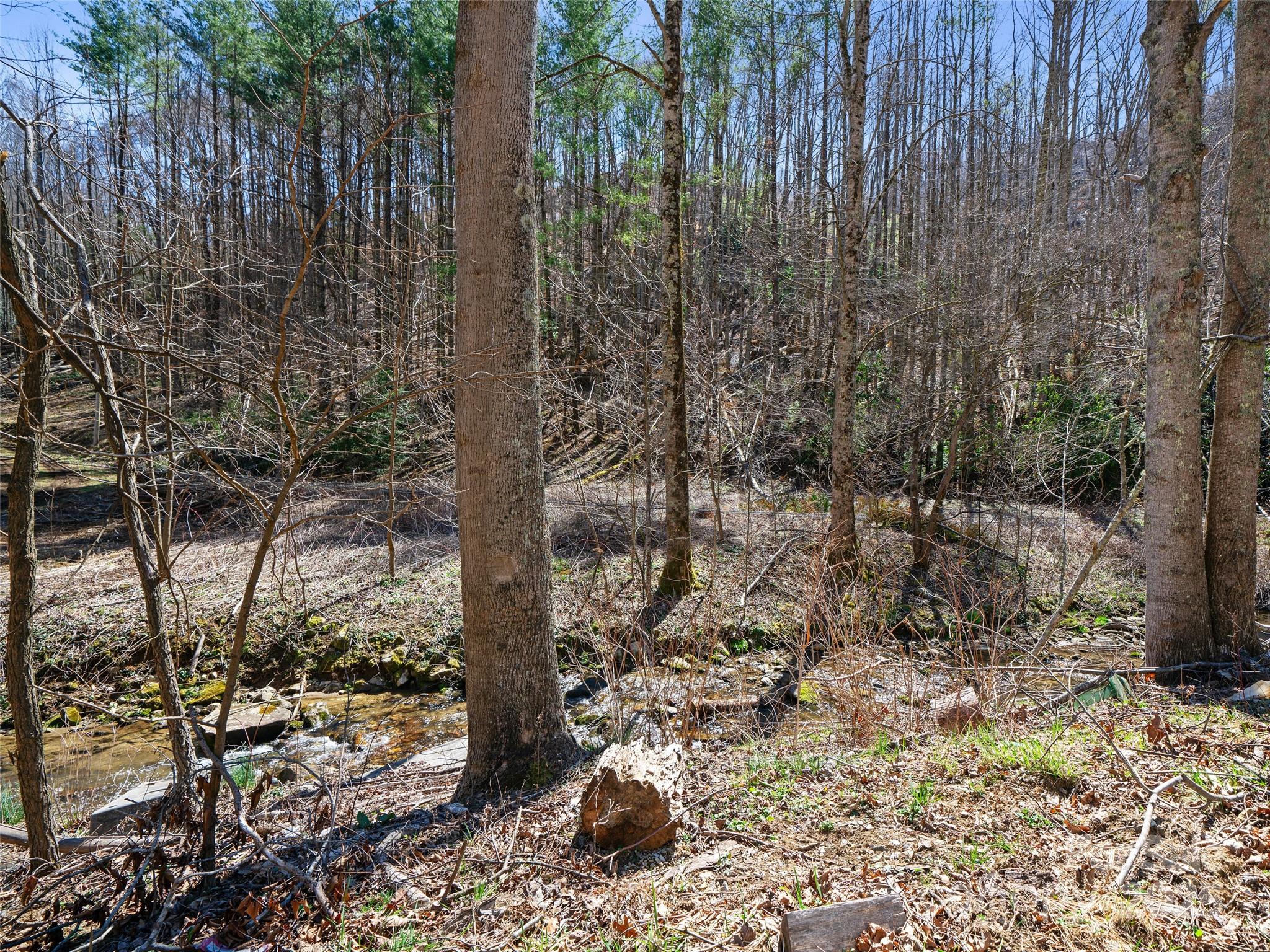 0 Nc Highway 226 Bakersville NC 28705
