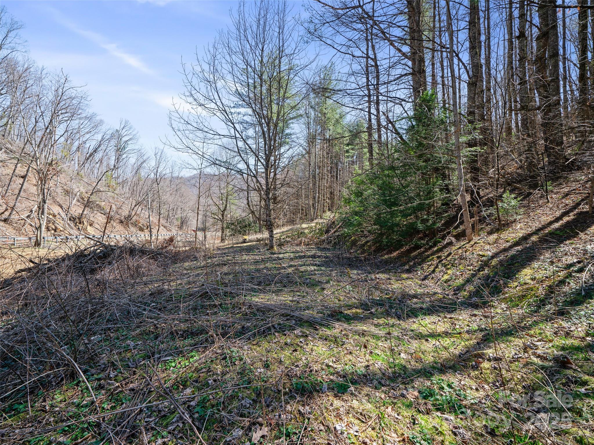 0 Nc Highway 226 Bakersville NC 28705