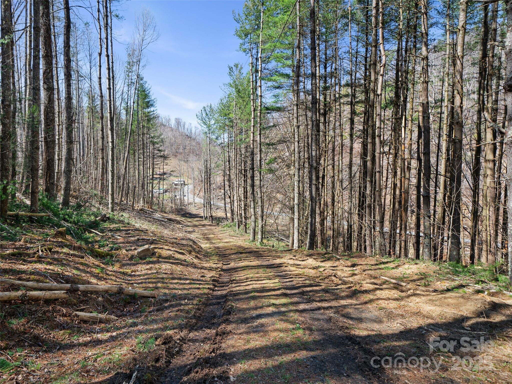 0 Nc Highway 226 Bakersville NC 28705