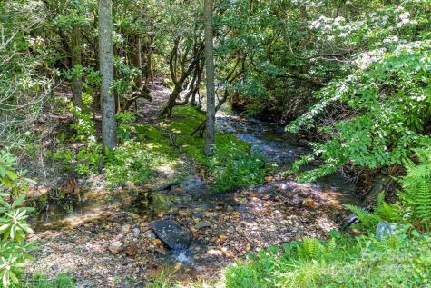 26 Upper Ridge Road Black Mountain NC 28711