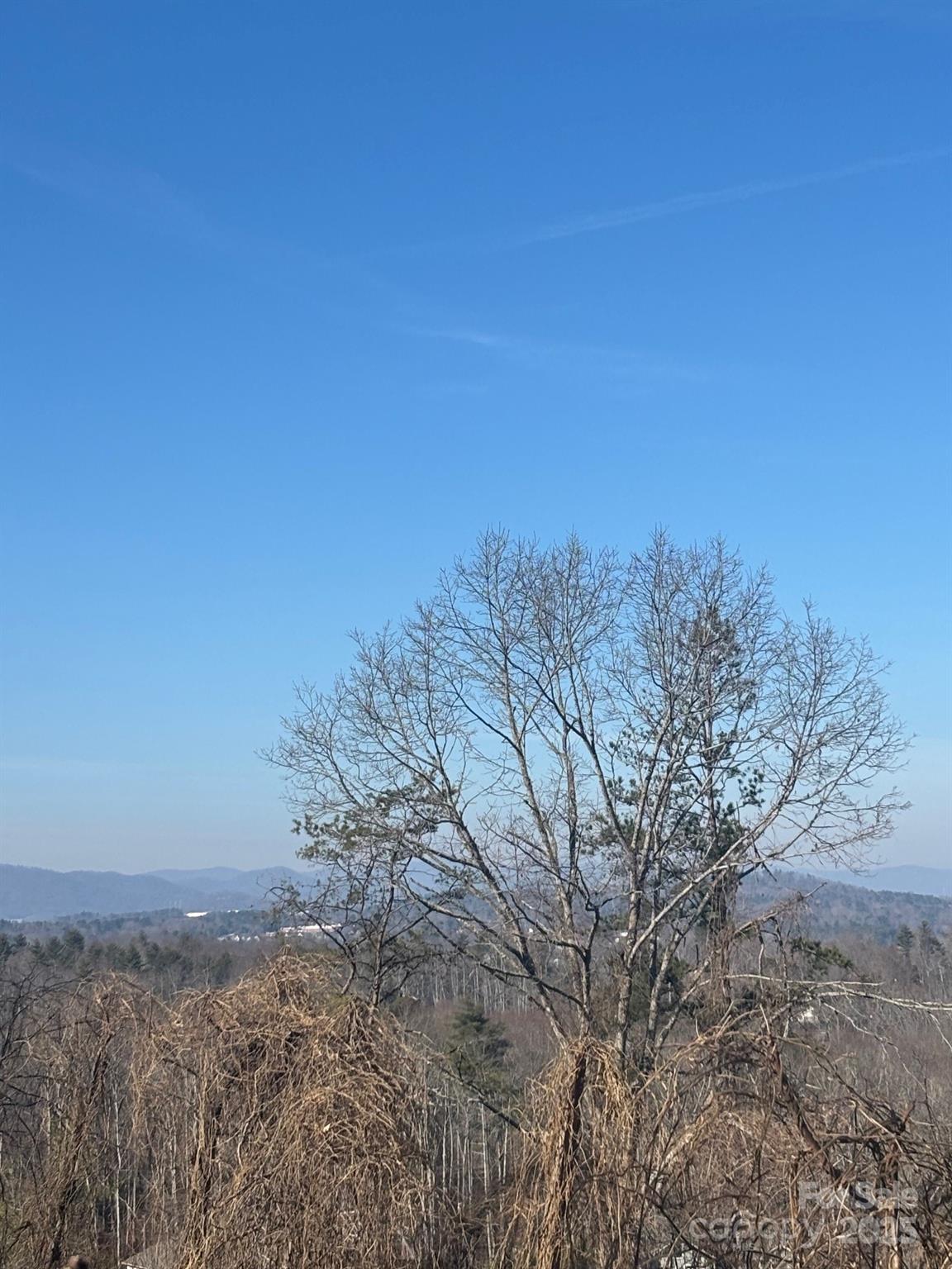 905 Hutch Mountain Road Fletcher NC 28732