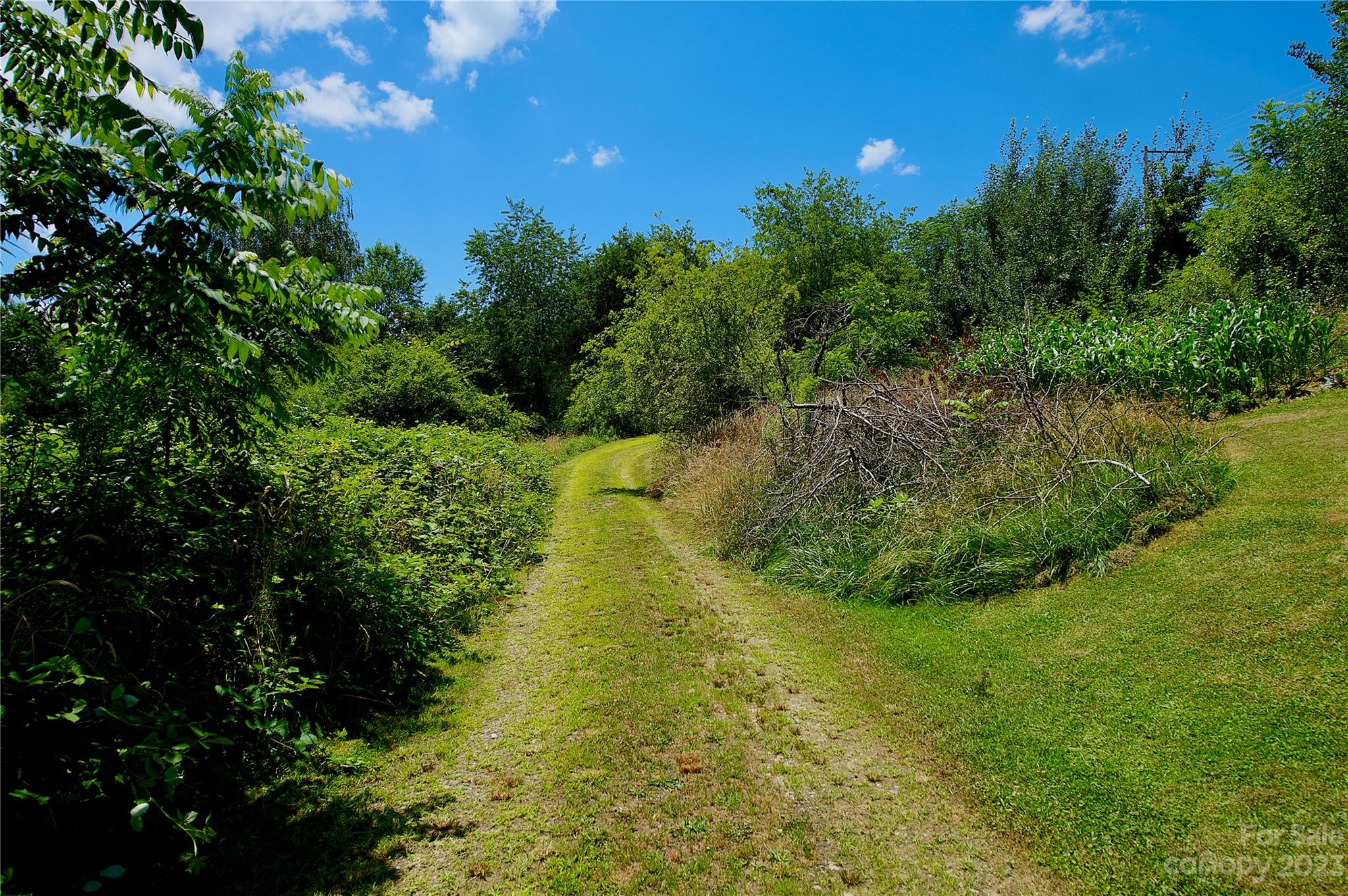 20 Green Mountain Drive Burnsville NC 28714