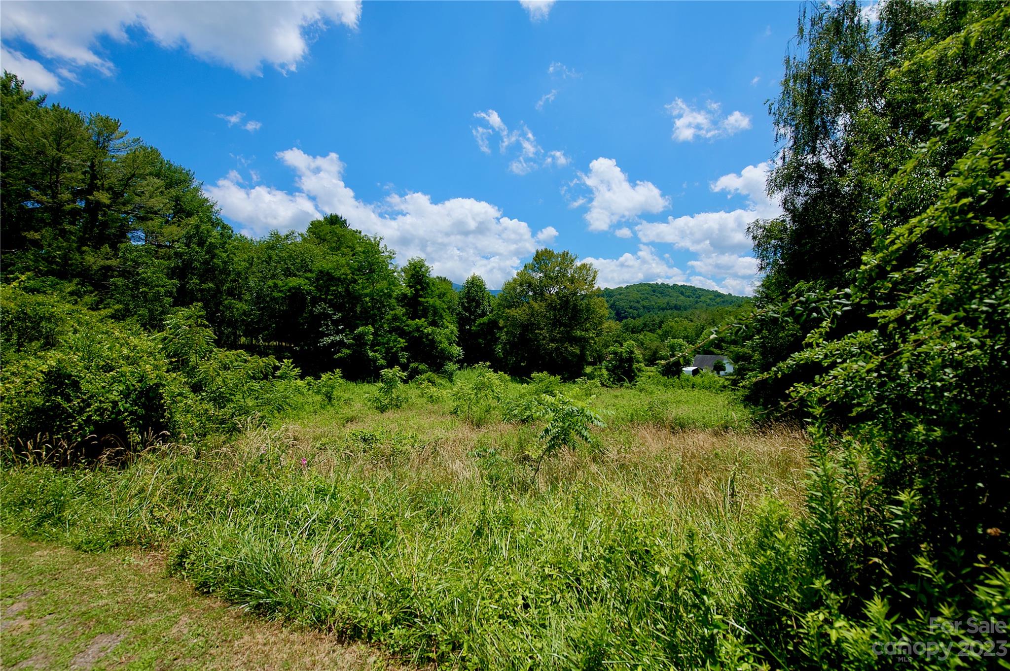 20 Green Mountain Drive Burnsville NC 28714