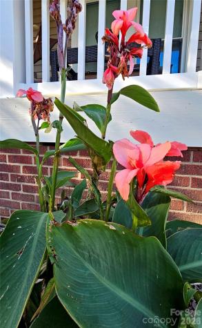 218 Wilson Street Albemarle NC 28001