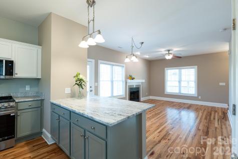4 & 6 Cottage Court Asheville NC 28801