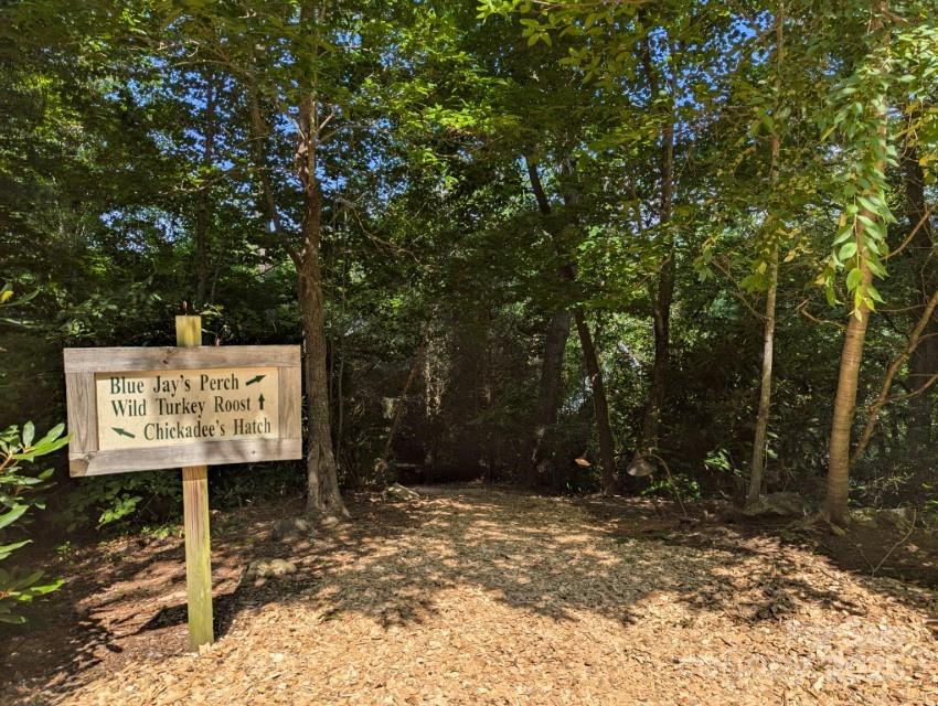 5 Chaucer Road Black Mountain NC 28711