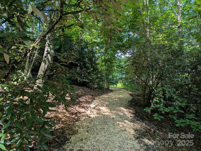 5 Chaucer Road Black Mountain NC 28711