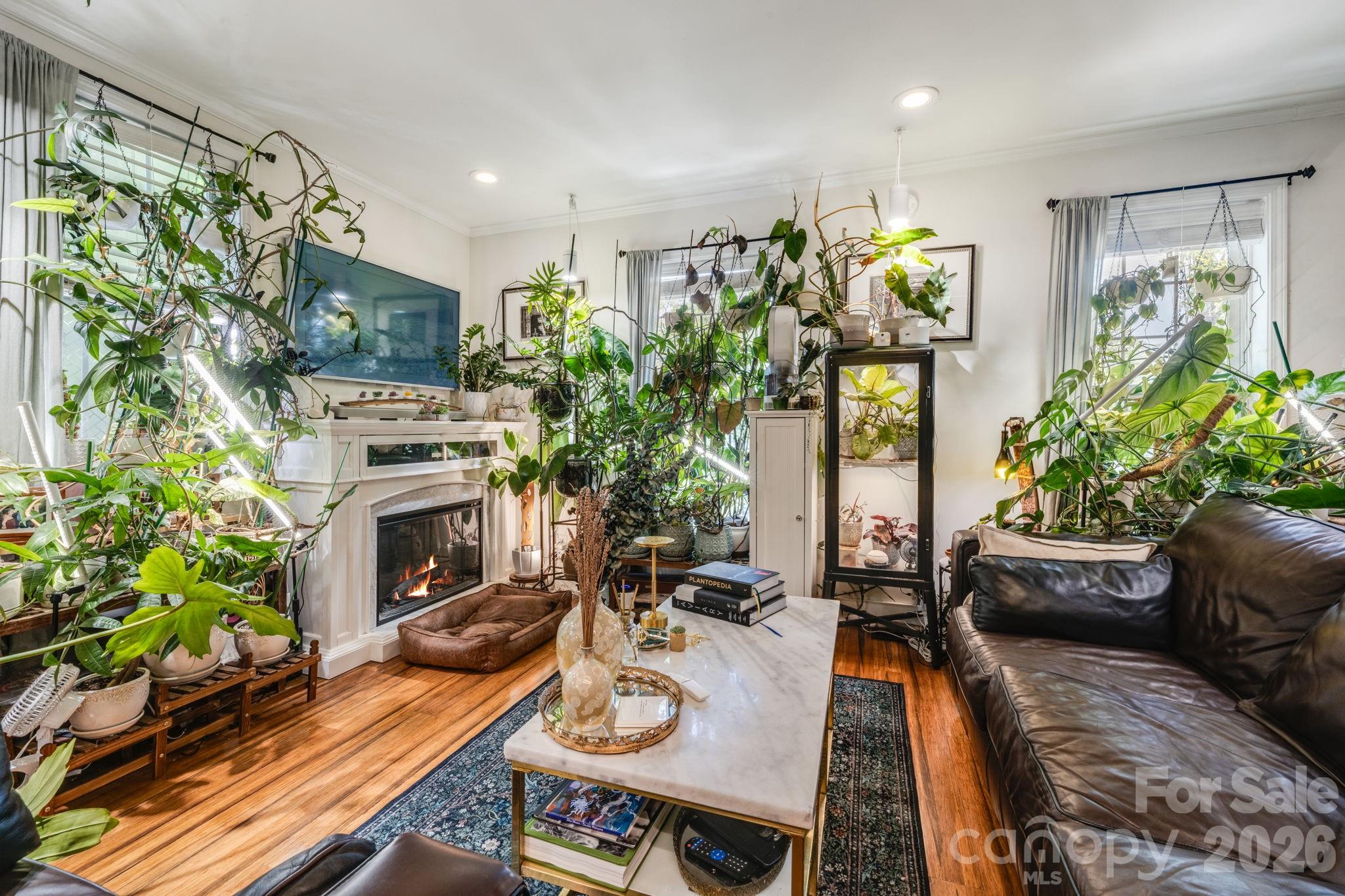 107 Courtland Avenue Asheville NC 28801