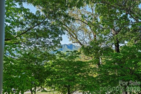 33 Vance Avenue Black Mountain NC 28711