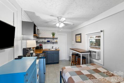 33 Vance Avenue Black Mountain NC 28711