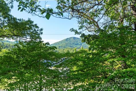 33 Vance Avenue Black Mountain NC 28711