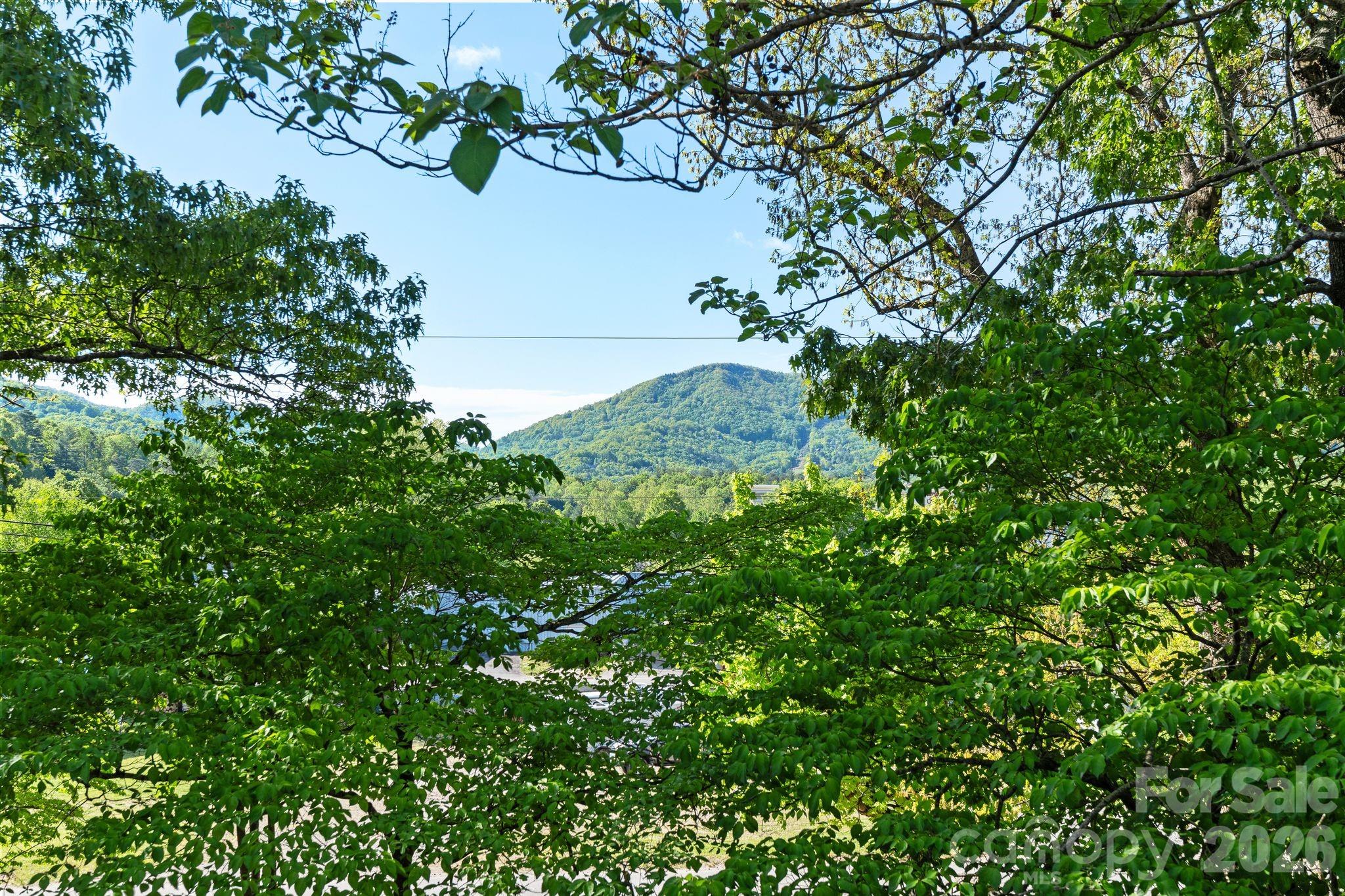33 Vance Avenue Black Mountain NC 28711
