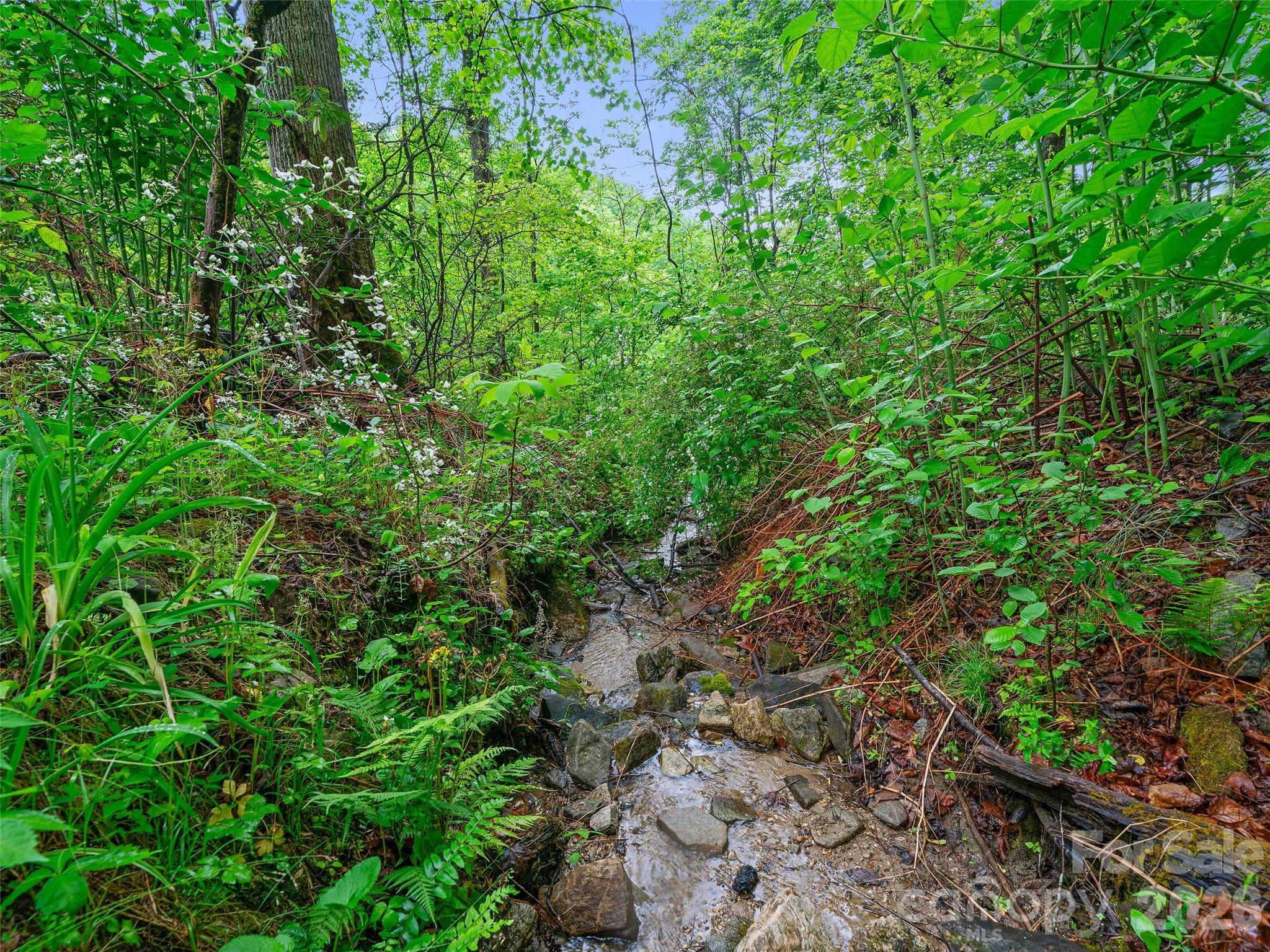 2380 Old Fort Road Black Mountain NC 28711