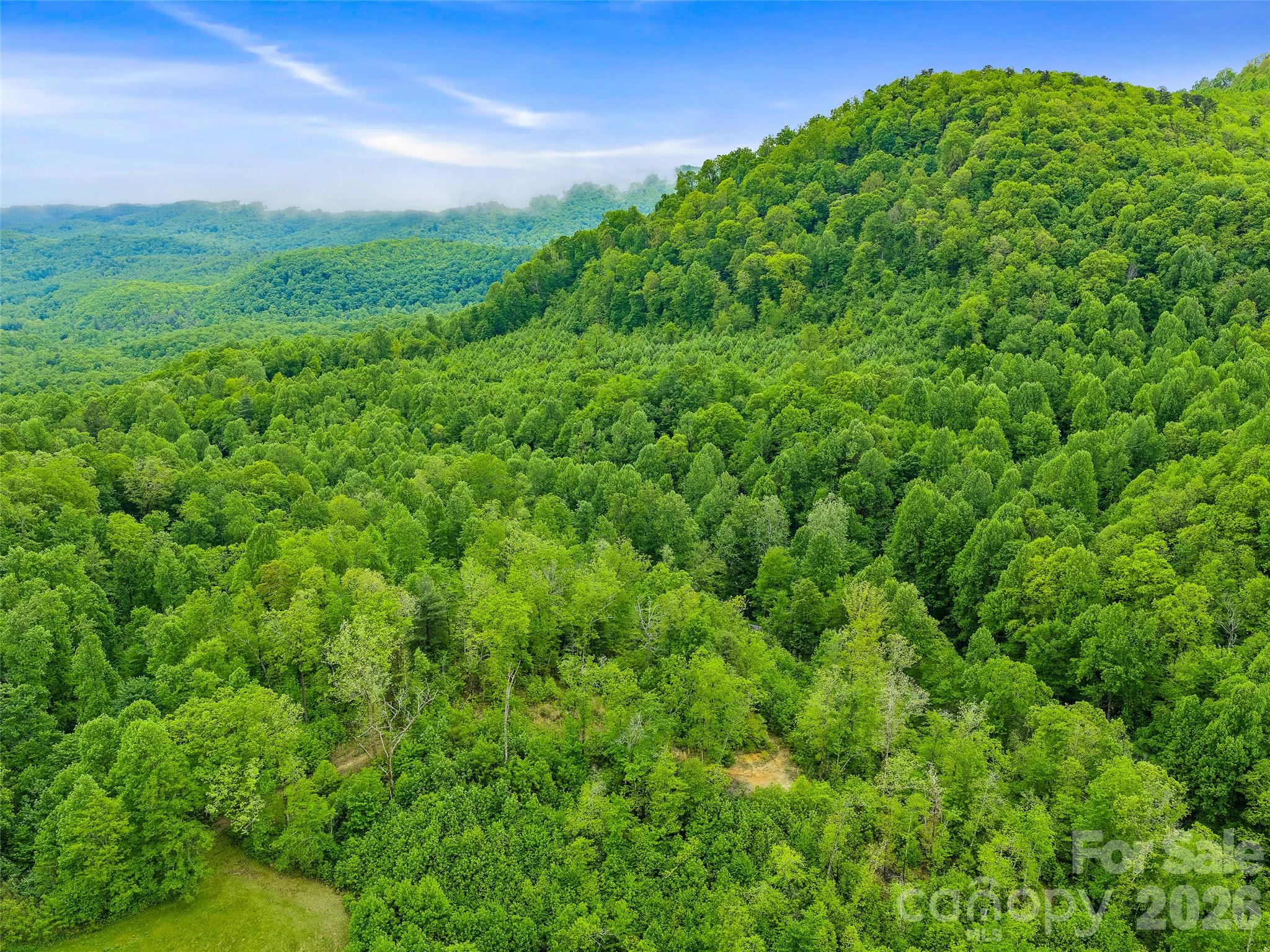 2380 Old Fort Road Black Mountain NC 28711