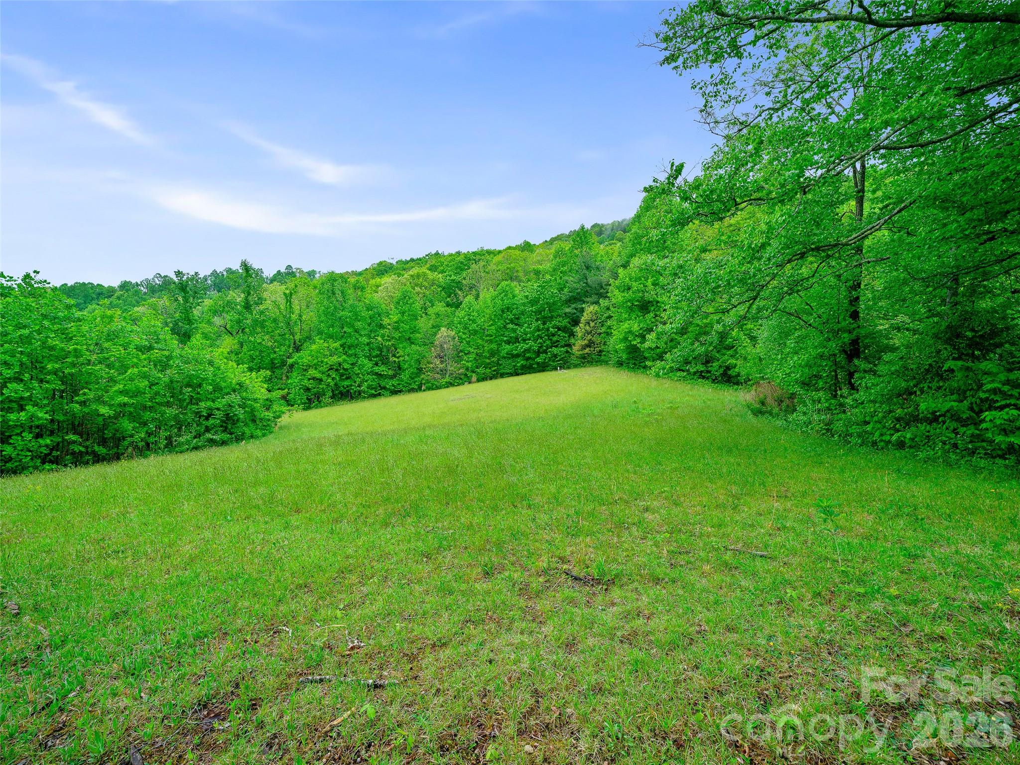 2380 Old Fort Road Black Mountain NC 28711