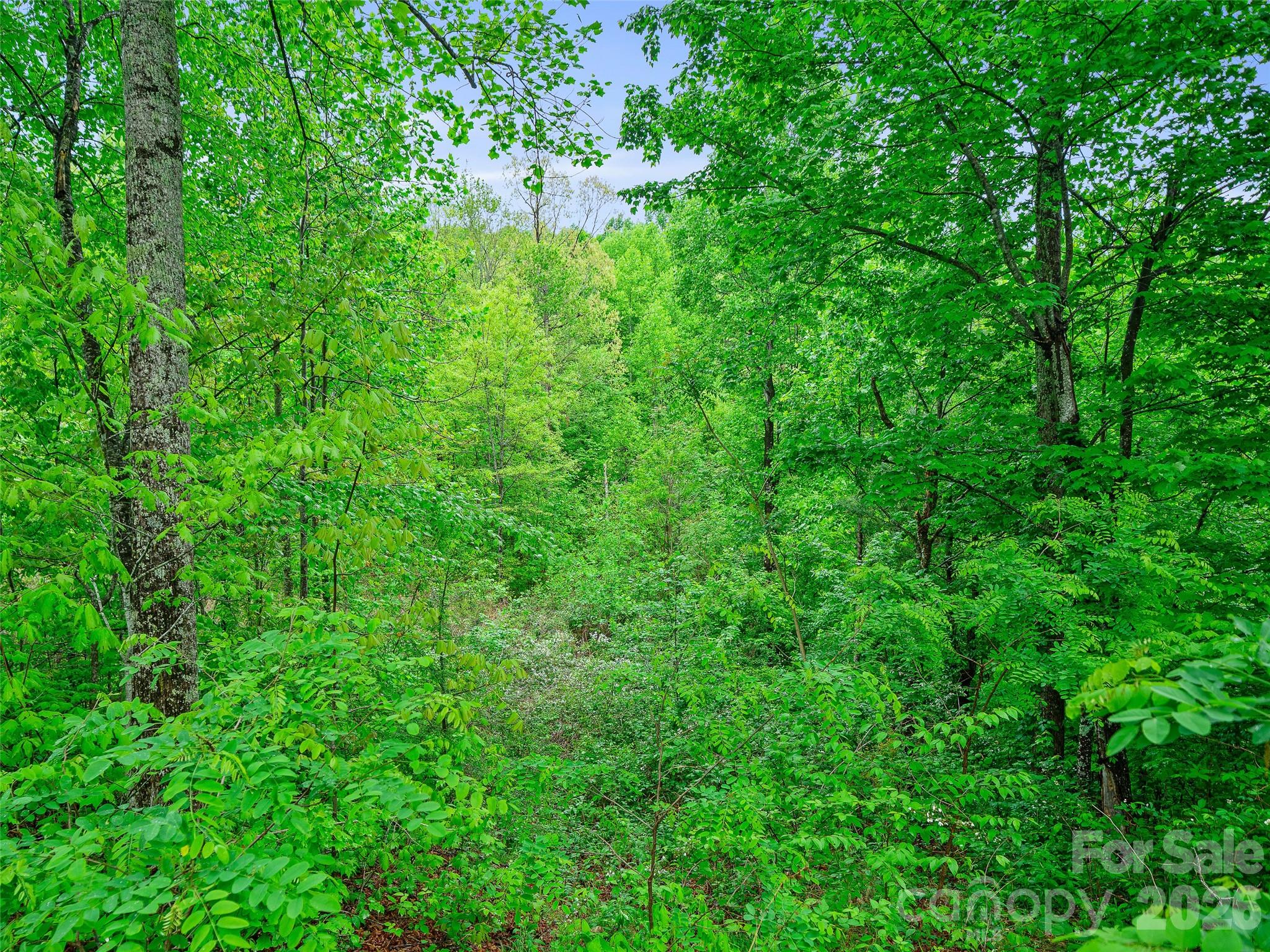 2380 Old Fort Road Black Mountain NC 28711