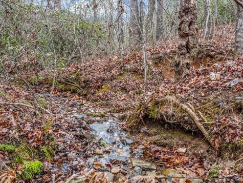 1217 Moore Road Tryon NC 28782