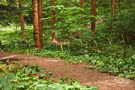 108 Lakewood Drive Asheville NC 28803