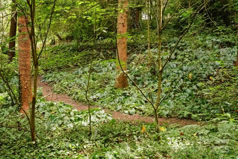 108 Lakewood Drive Asheville NC 28803