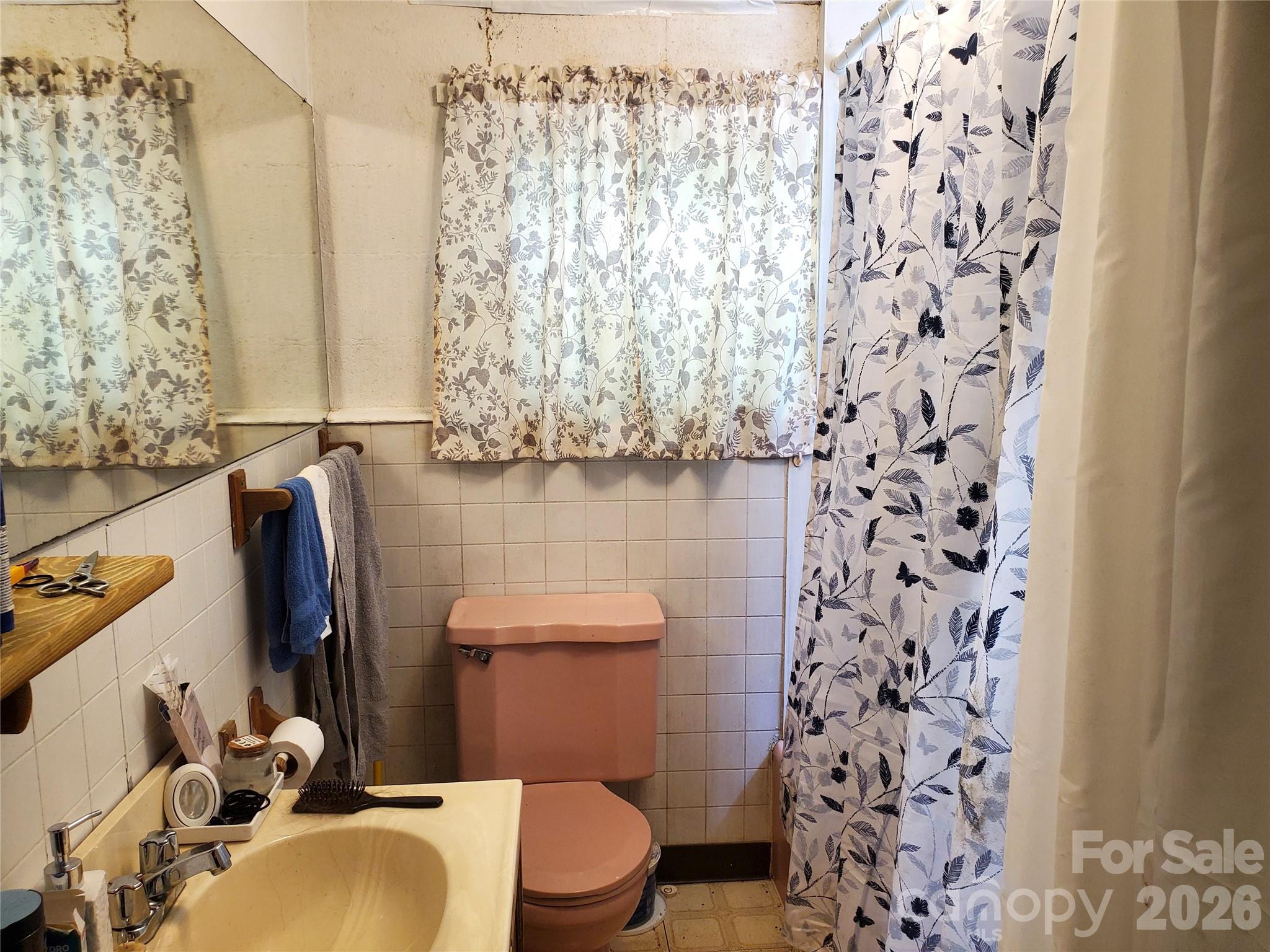 20 Homewood Drive Asheville NC 28803