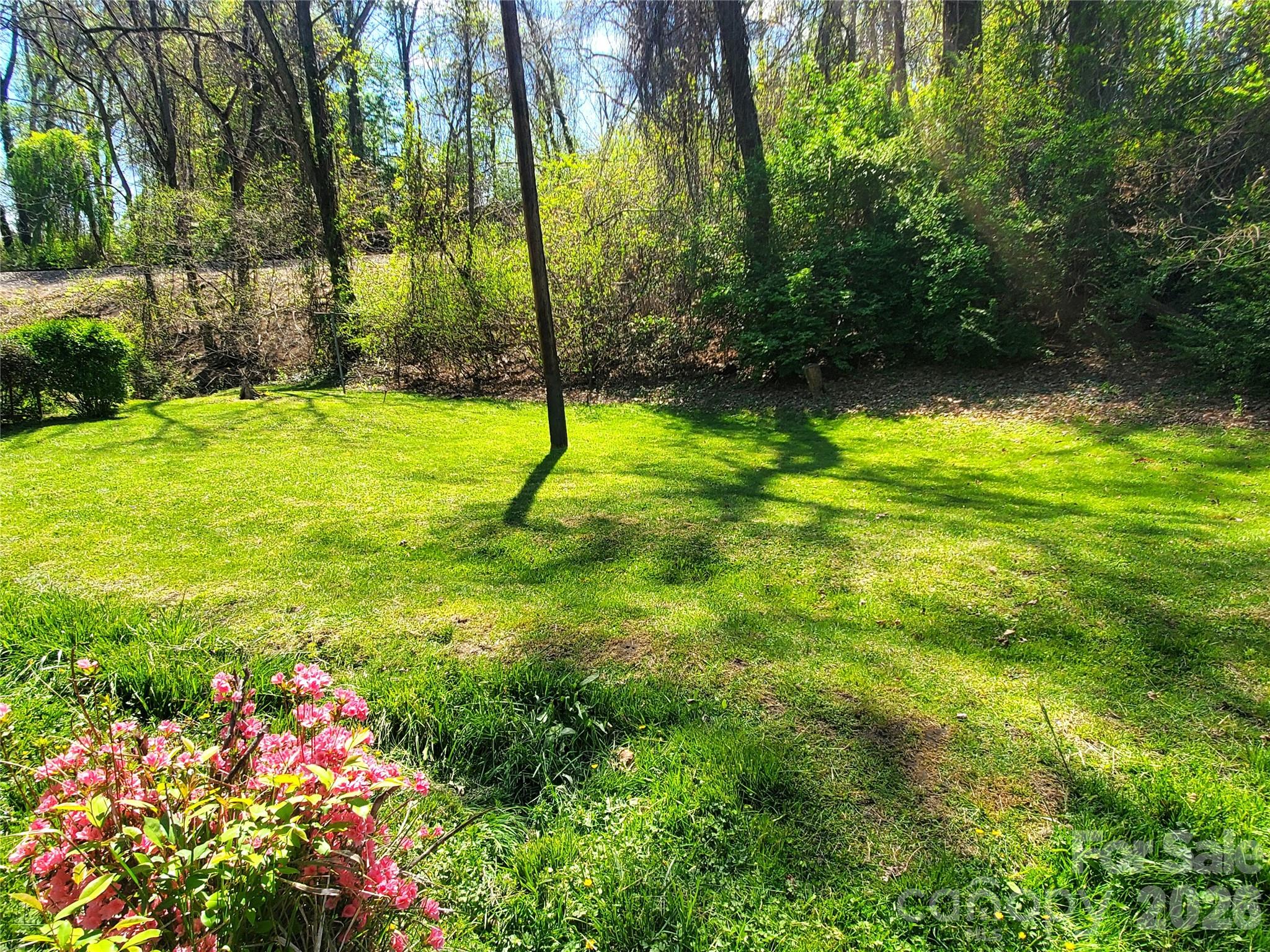 20 Homewood Drive Asheville NC 28803