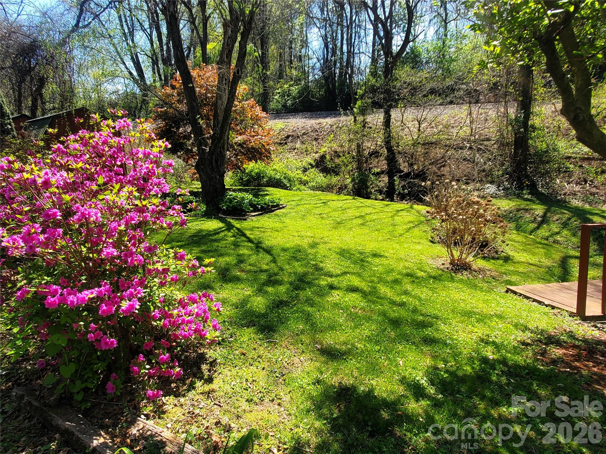 20 Homewood Drive Asheville NC 28803