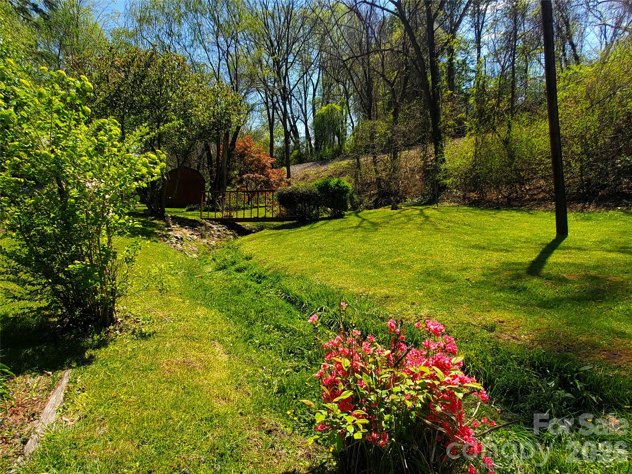 20 Homewood Drive Asheville NC 28803