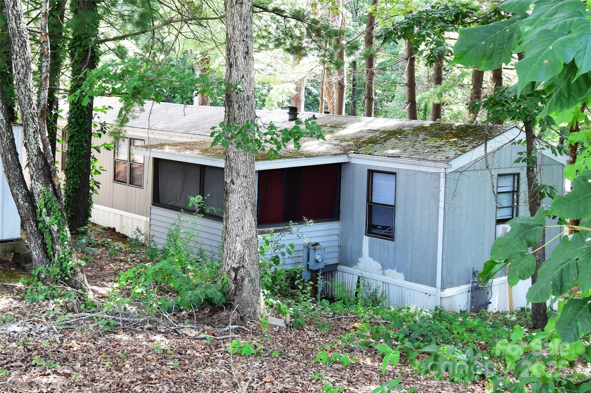 295 Asbury Road Candler NC 28715
