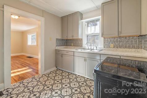 133 Iris Street Asheville NC 28803