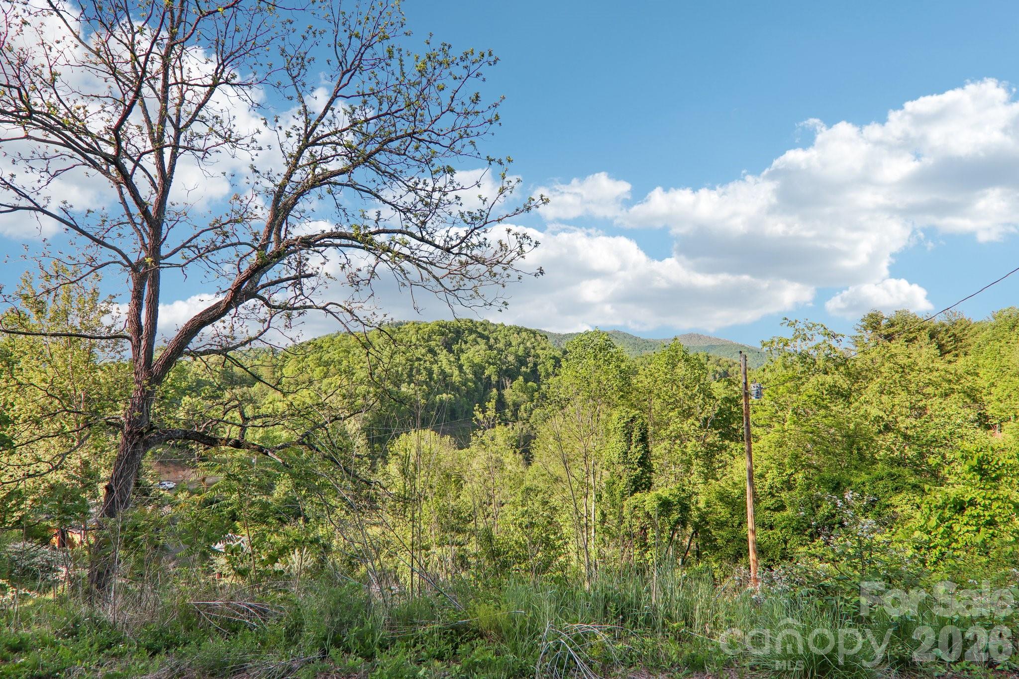 137 Red Maple Lane Burnsville NC 28714