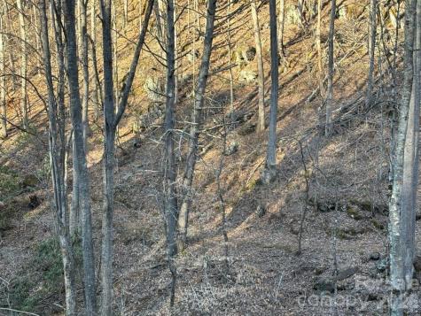 324 Marble Mine Road Bakersville NC 28705