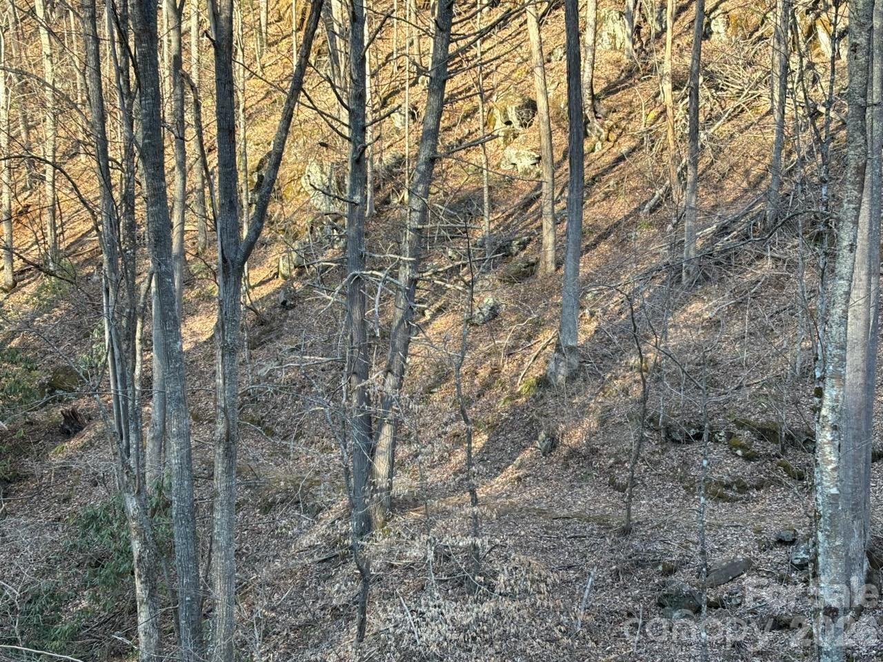 324 Marble Mine Road Bakersville NC 28705