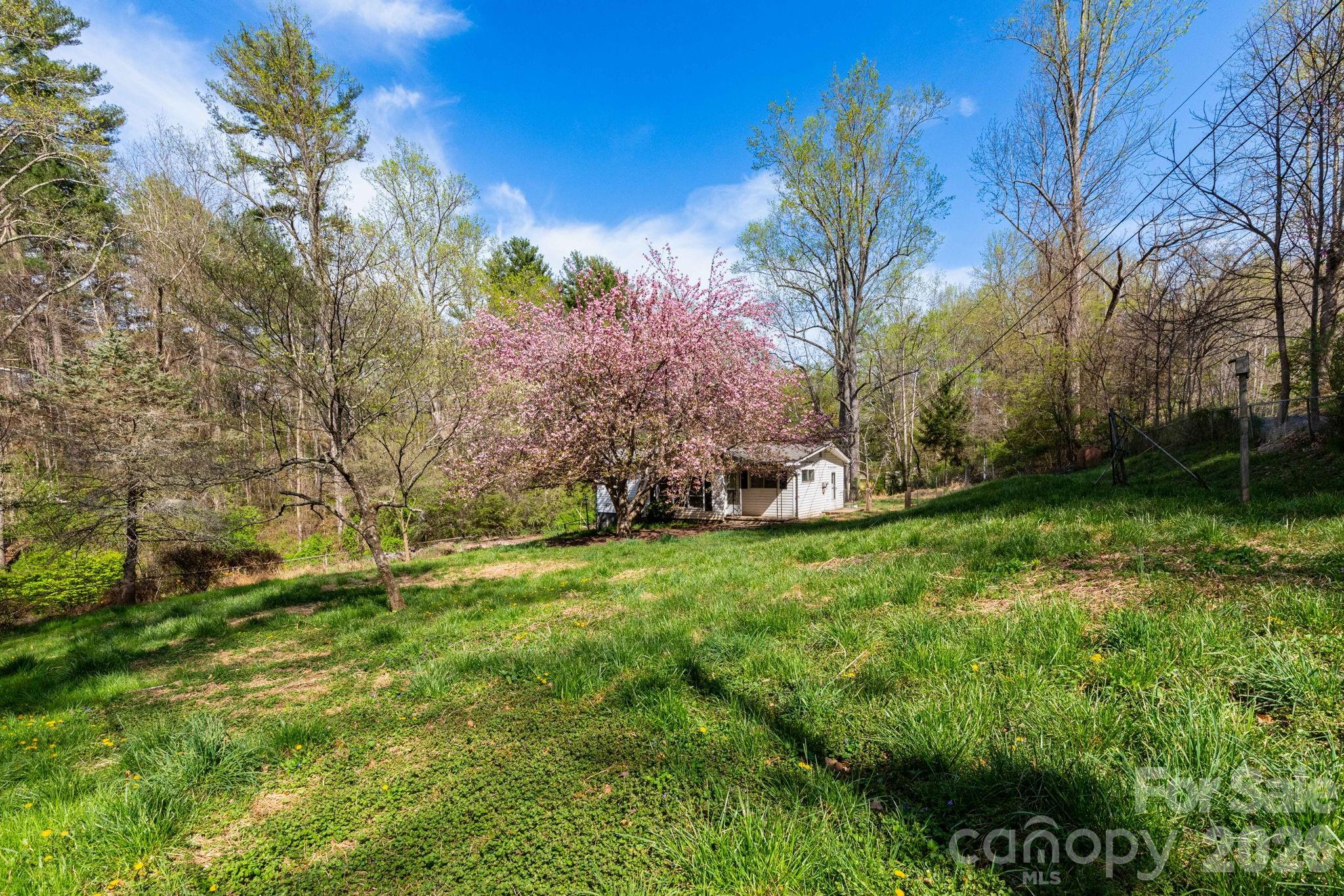135 Sardis Drive Asheville NC 28806