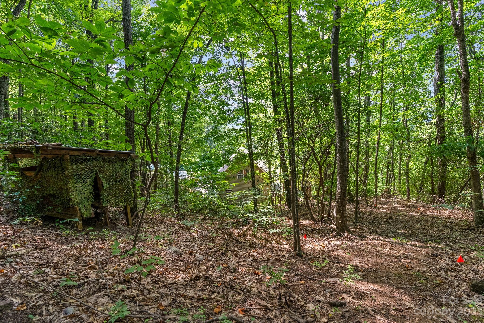 88 Long Ridge Road Candler NC 28715