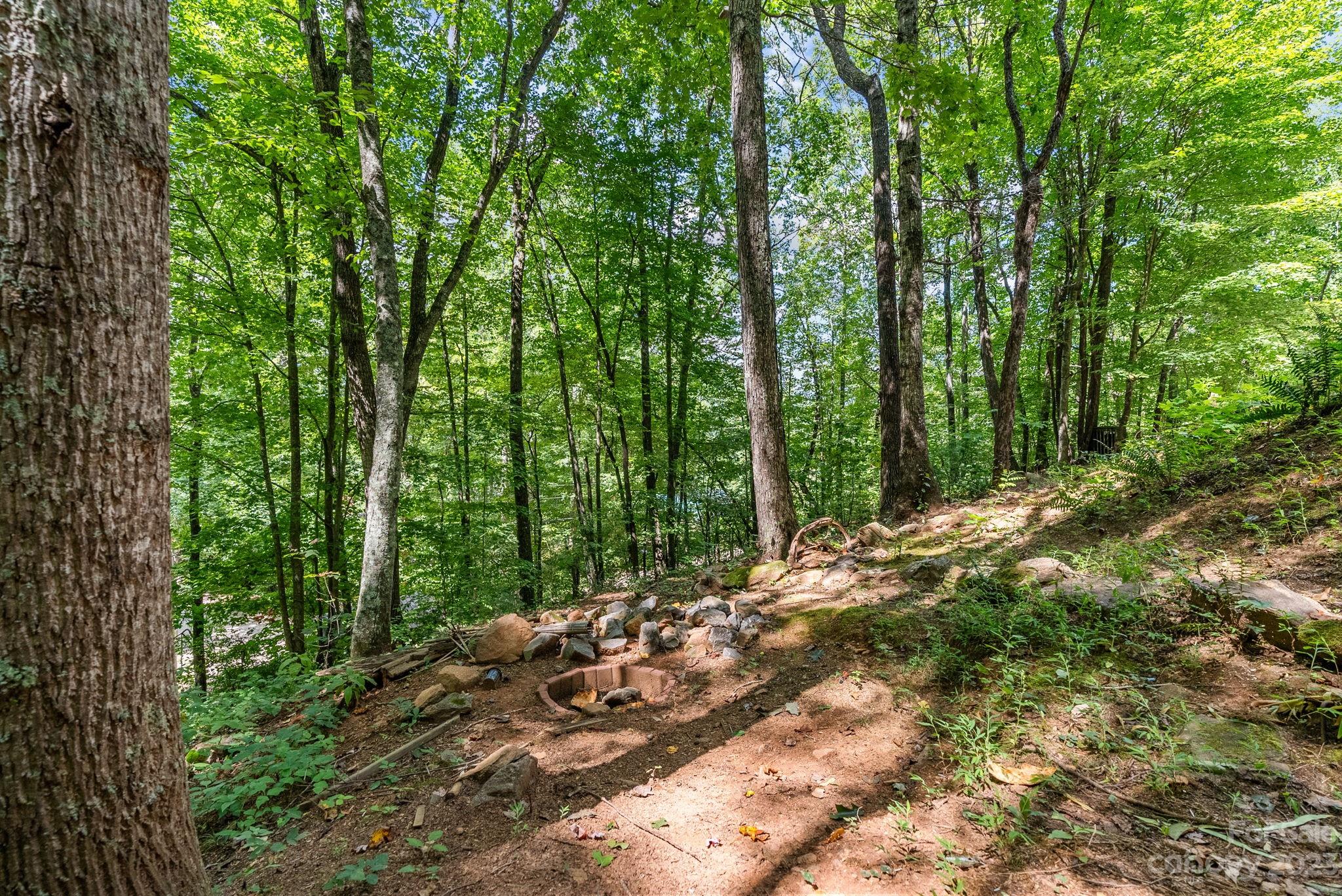88 Long Ridge Road Candler NC 28715