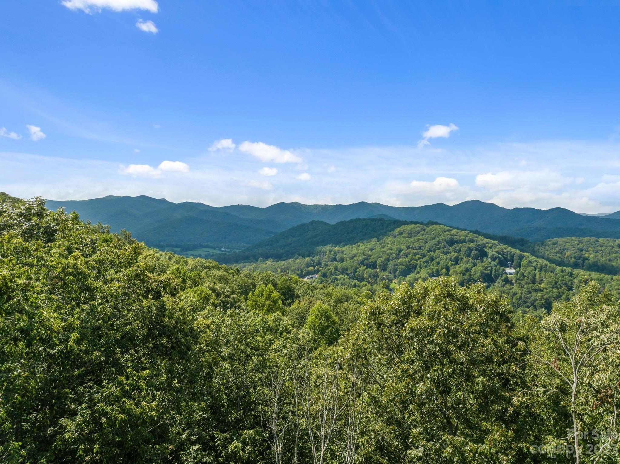 88 Long Ridge Road Candler NC 28715